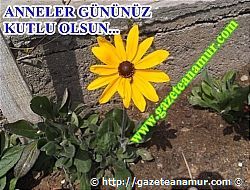 Anneler G�n�, Kutlama G�n�